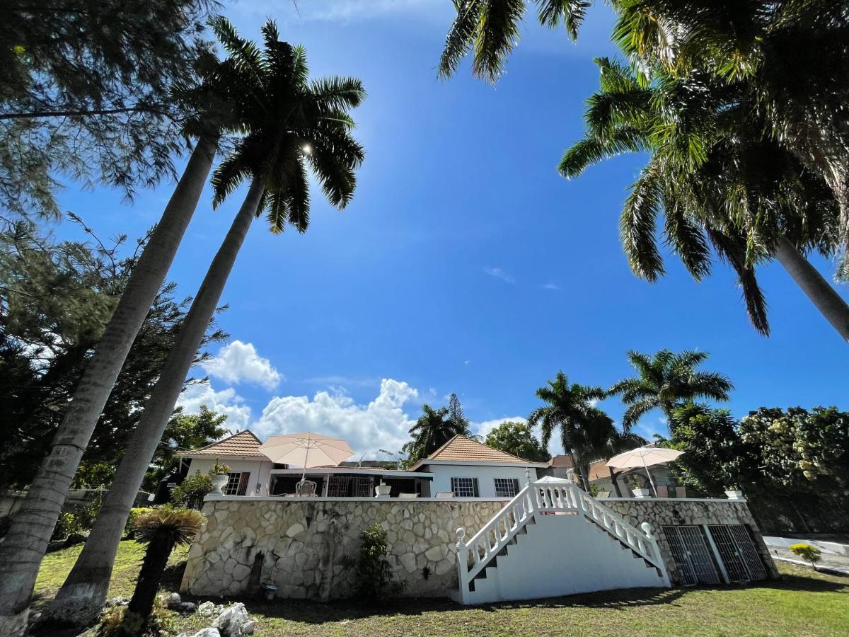 The Lodge @ Peaceful Palms Montego Bay Extérieur photo