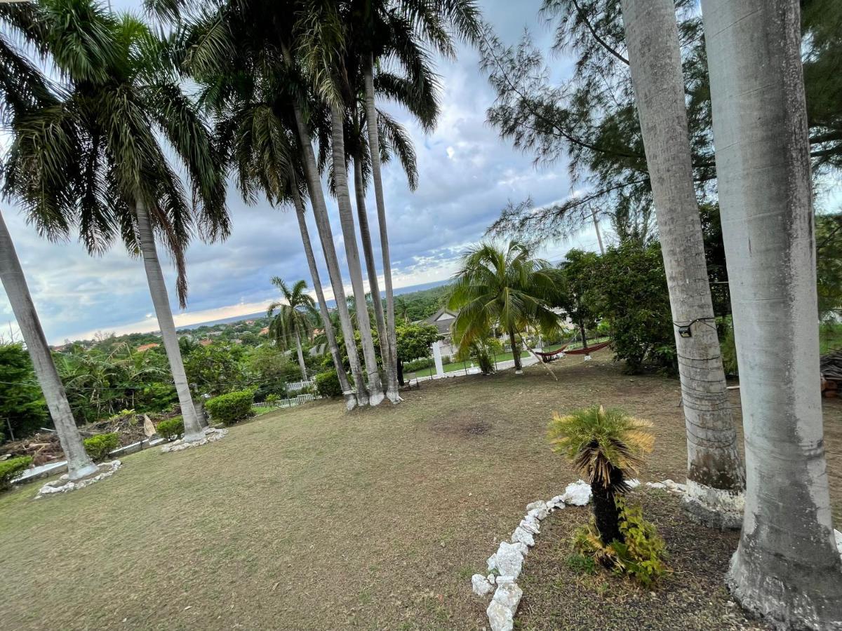 The Lodge @ Peaceful Palms Montego Bay Extérieur photo